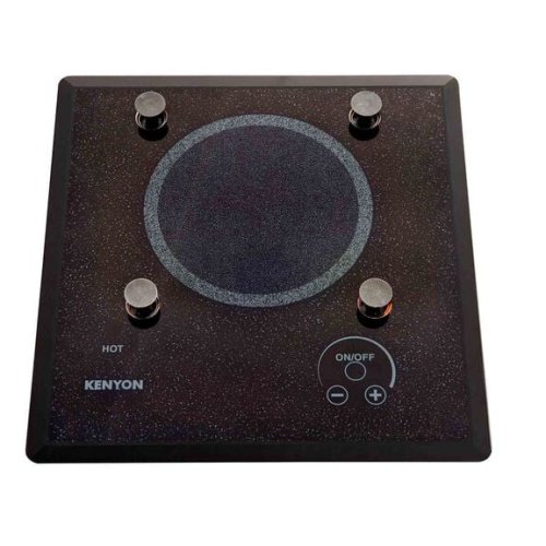 Kenyon Lite touch Q1 burner with  pups   110V 60HZ (255701) - 21014642 - 497029