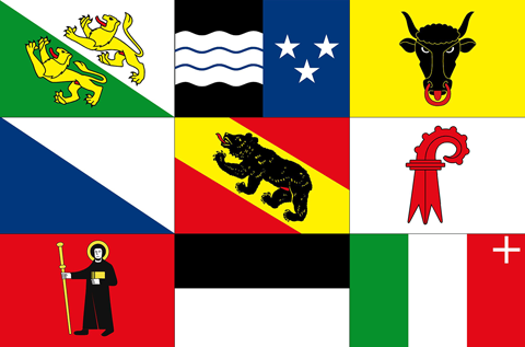Bern vlag 20x30cm - Deelst zw 1 - BE2030