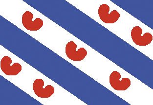 Friese vlag 20x30cm - Fr3045 72dpi 1 - FR2030