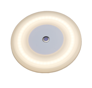 LED Plafondlamp, 10-30VDC/3W &Oslash;120mm met touch switch - L1900274 72dpi - L1900274