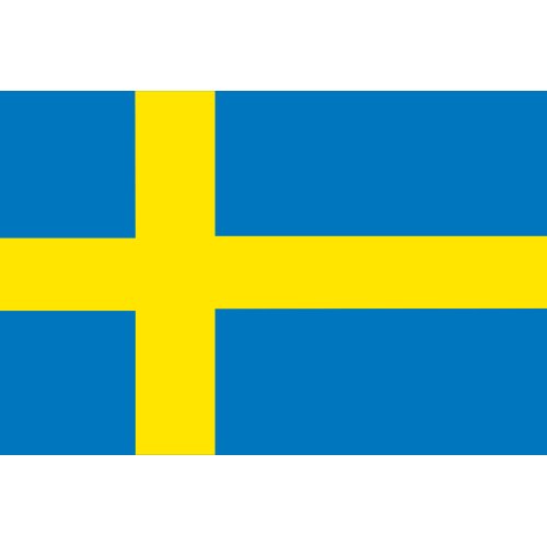 Zweedse vlag 30x45cm - Se3045 300dpi - SE3045