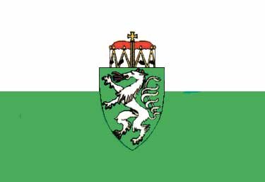Steiermark vlag 20x30cm - Stm2030 72dpi - STM2030