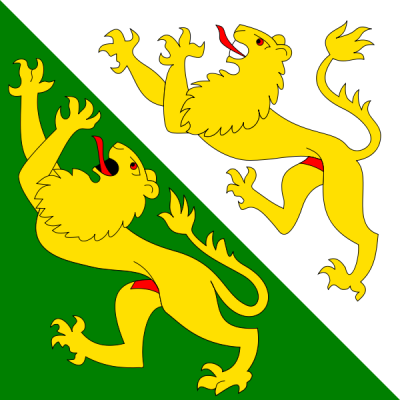 Thurgau vlag 20x30cm - Th2030 72dpi - TH2030