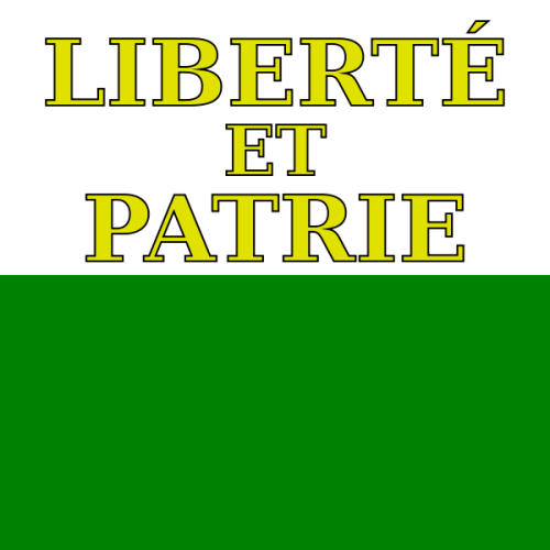 Waadt vlag 20x30cm - Wa2030 72dpi - WA2030